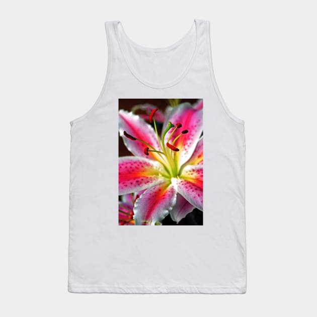 Pink Lily Lilium Herbaceous Flowering Plants Tank Top by AndyEvansPhotos